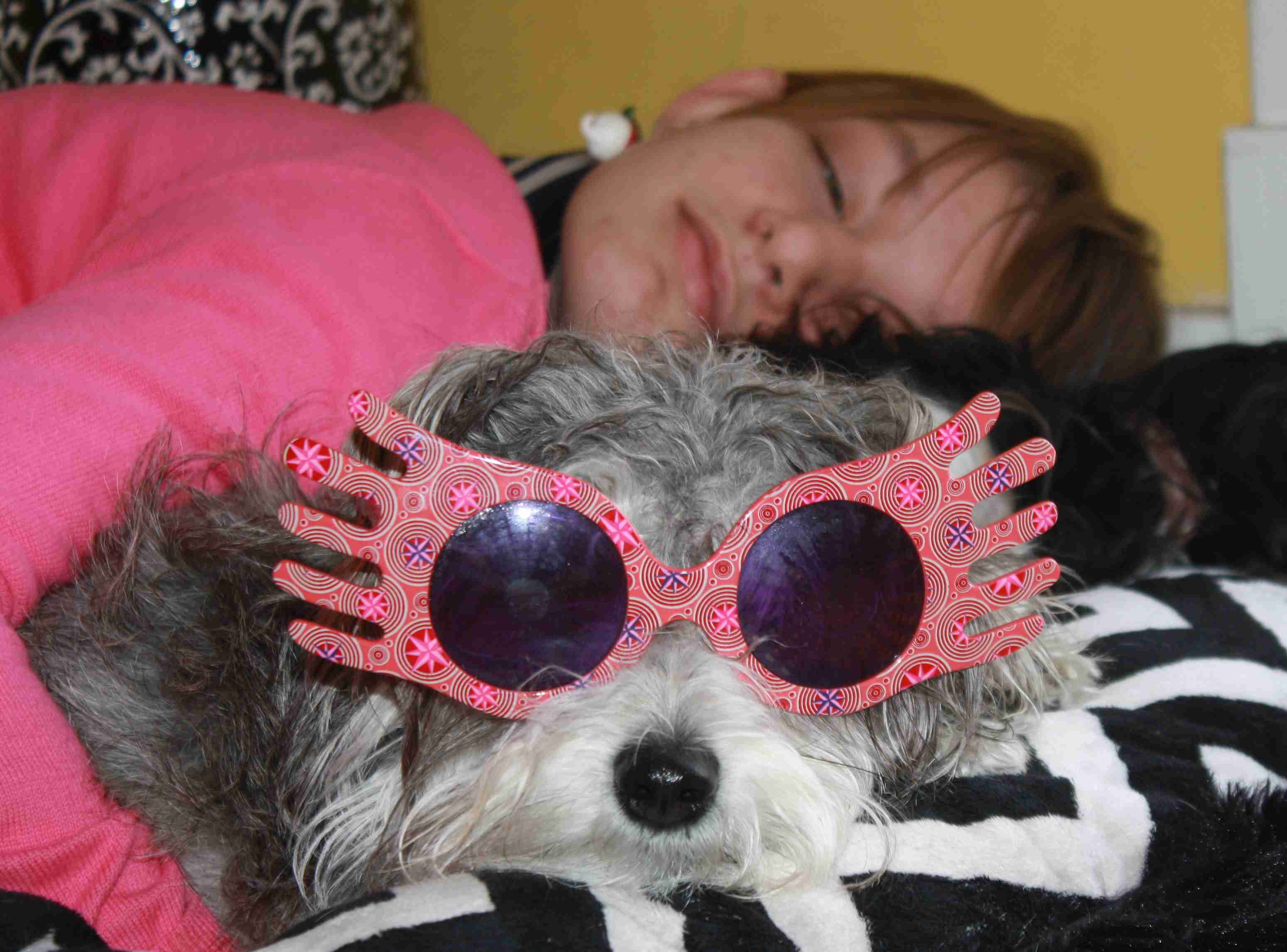 2015-03-29 Pepper Superstar.jpg
